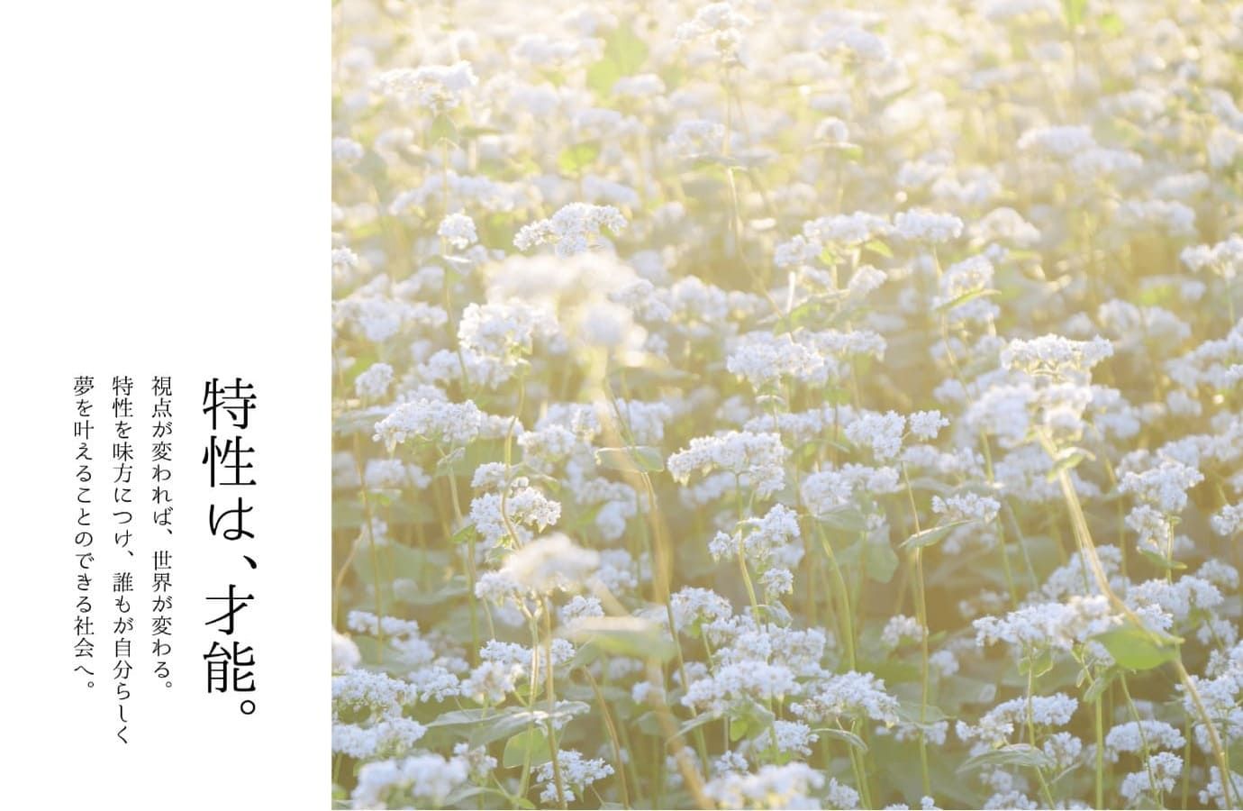 Featured image of the post